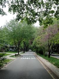 a view of a street with a building and trees