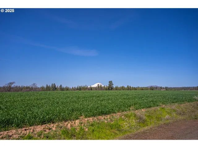 a view of a field with an ocean