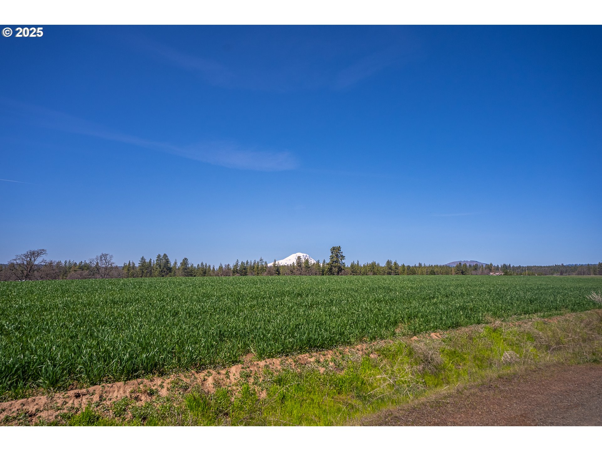 2 Mountain Views, Unit 2 Goldendale, WA 98620 - Photo 3 of 6 a view of a field with an ocean