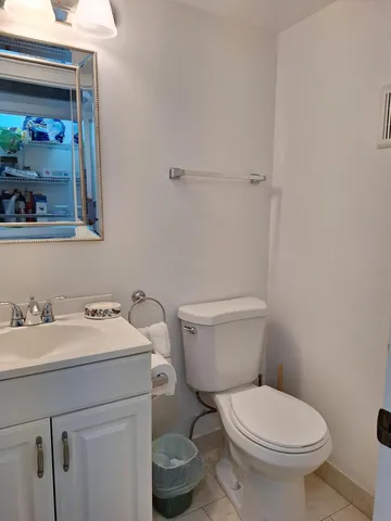 a bathroom with a sink and a toilet