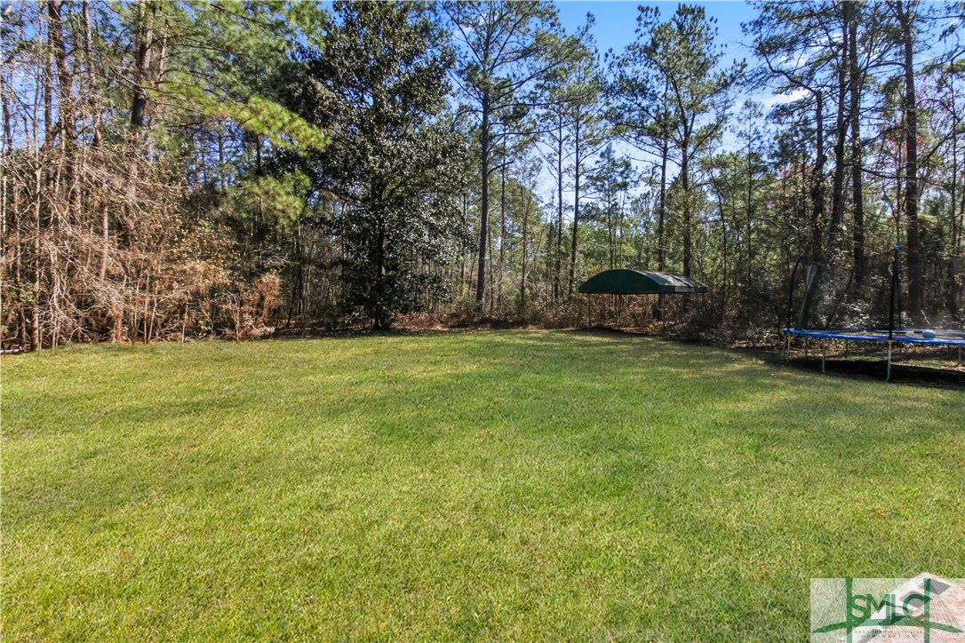 1030 Bill Futch Road Ellabell, GA 31308 - Photo 23 of 24 Gallery Image 23