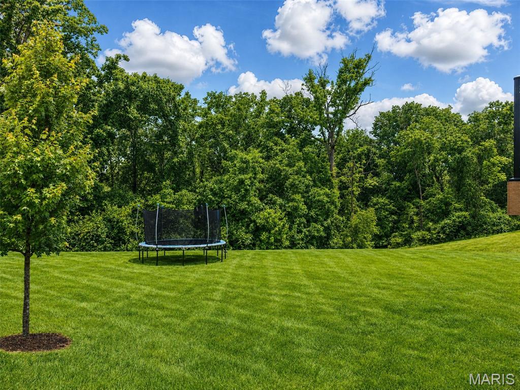 820 Upland Loop O'Fallon, MO 63368 - Photo 37 of 49