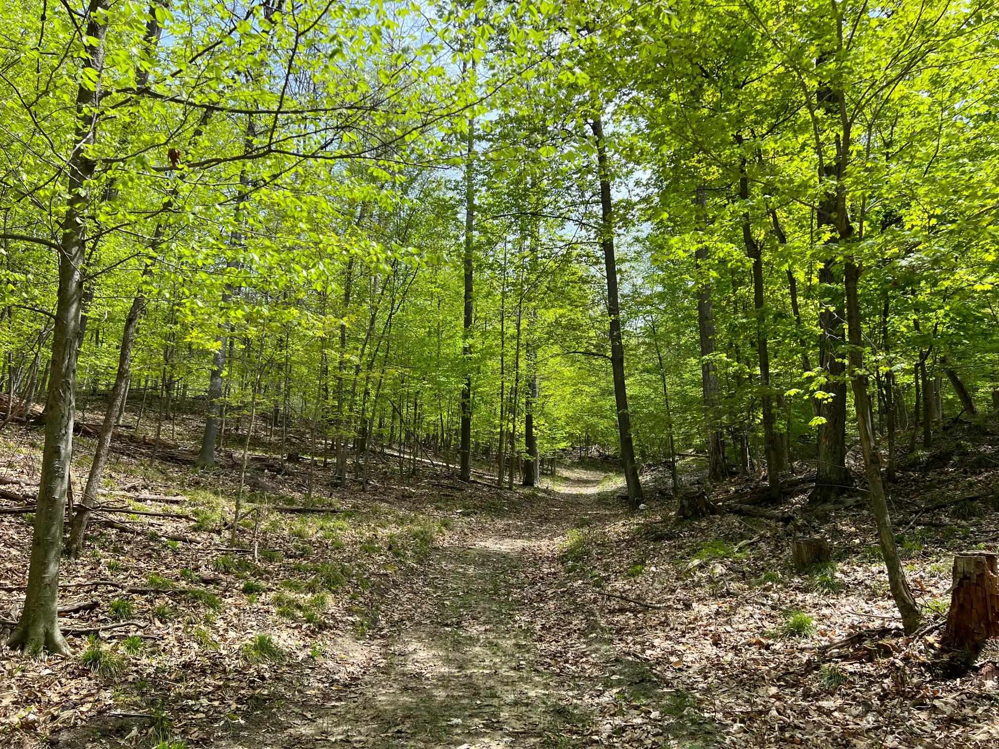 0 Prouty Road Traverse City, MI 49686 - Photo 33 of 40