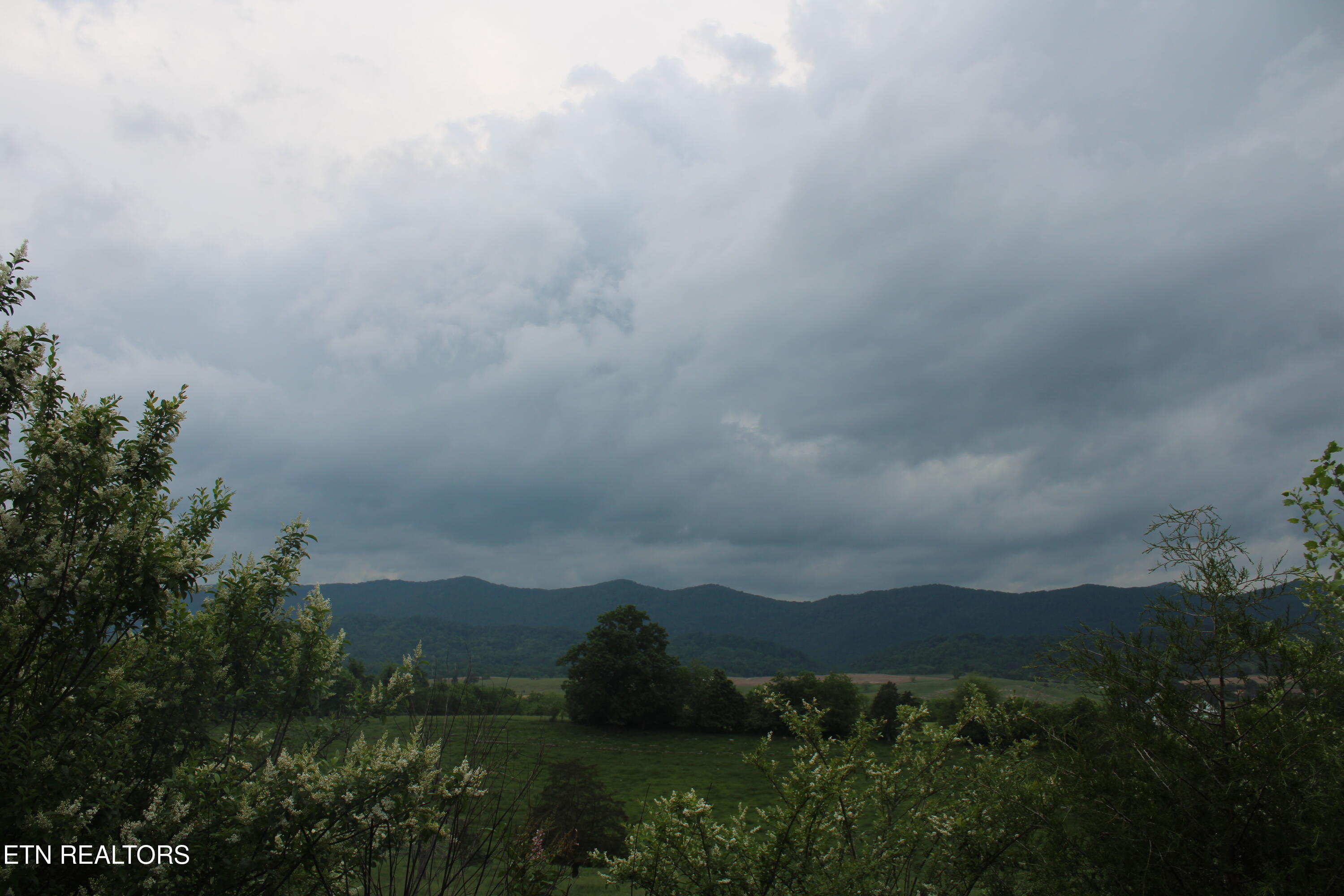 164 Back Valley Road Speedwell, TN 37870 - Photo 17 of 23 IMG_1829