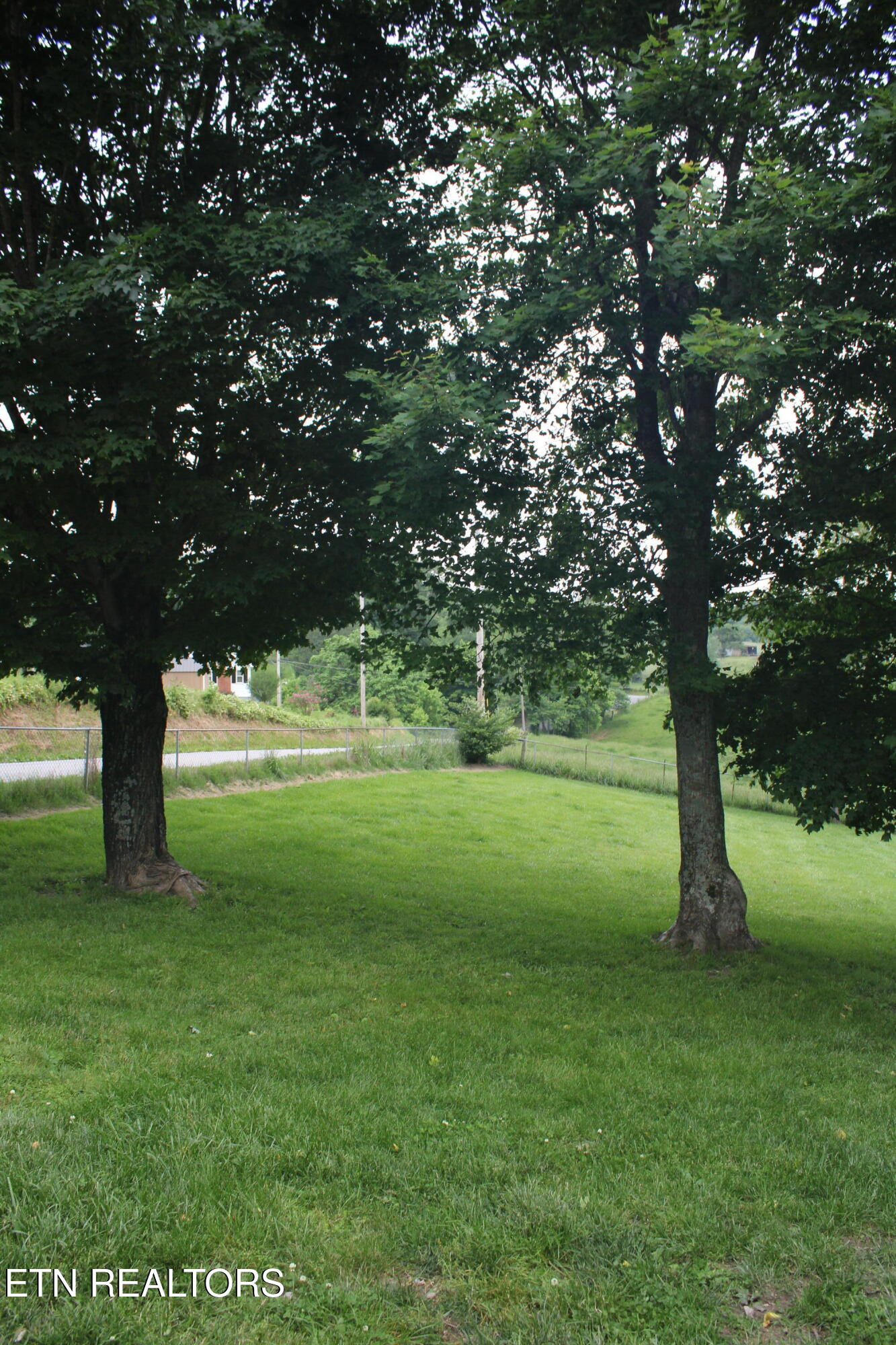 164 Back Valley Road Speedwell, TN 37870 - Photo 23 of 23 IMG_1836