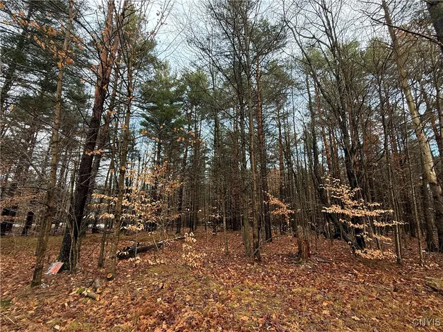 $65,000 | 5098 Rugby Road, Brantingham, NY 13312