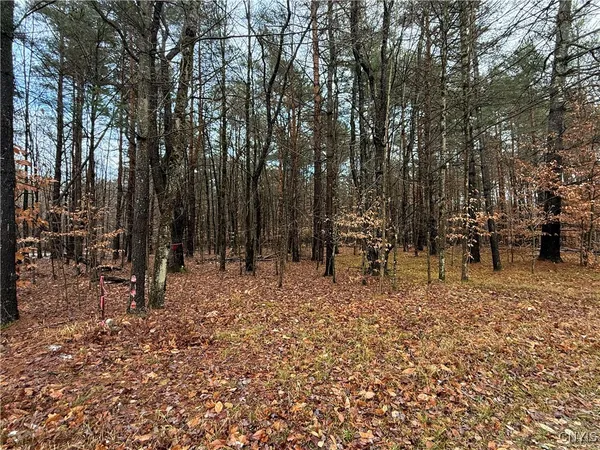 $62,500 | 5098 Rugby Road, Greig, NY 13312