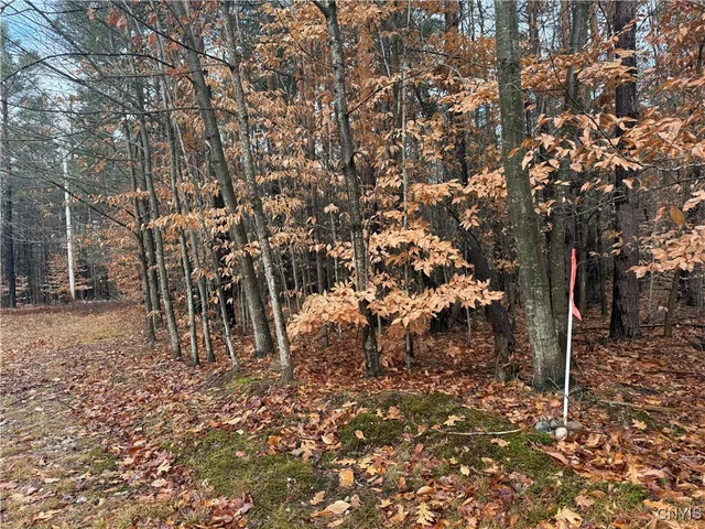 $65,000 | 5098 Rugby Road, Brantingham, NY 13312