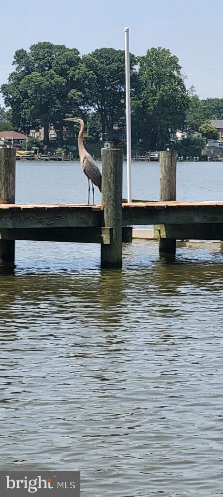 13202 Cherwin Avenue Baltimore, MD 21220 - Photo 11 of 50