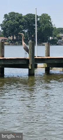 a view of a lake view