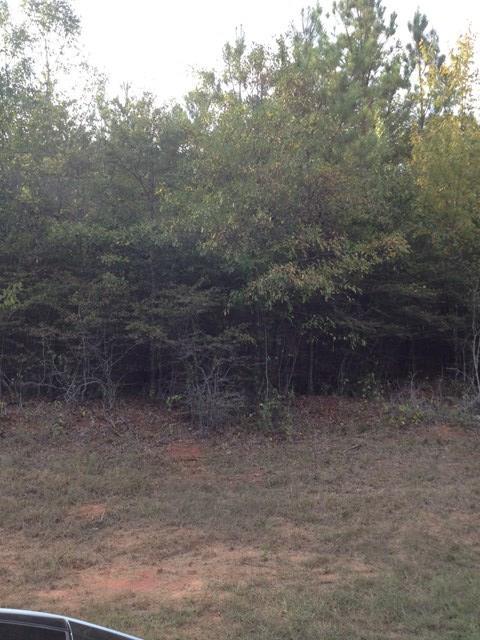 Lot 7 Lot Road Gray, GA 31032 - Photo 3 of 3 a view of a dry yard