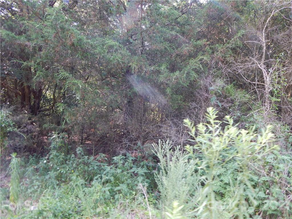 0 Boone Caudle Road Norwood, NC 28128 - Photo 12 of 29 Gallery Image 12