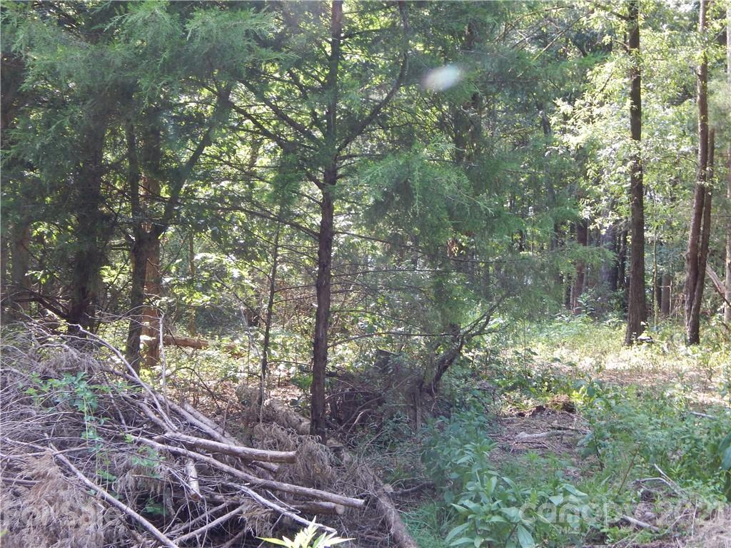 0 Boone Caudle Road Norwood, NC 28128 - Photo 13 of 29 Gallery Image 13