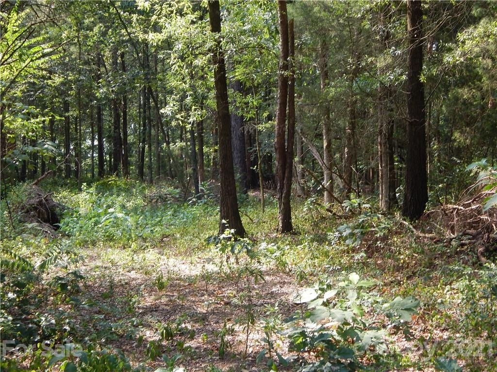 0 Boone Caudle Road Norwood, NC 28128 - Photo 14 of 29 Gallery Image 14