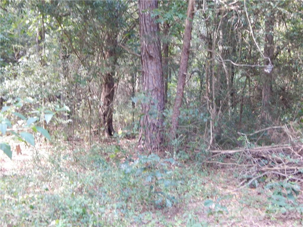 0 Boone Caudle Road Norwood, NC 28128 - Photo 15 of 29 Gallery Image 15