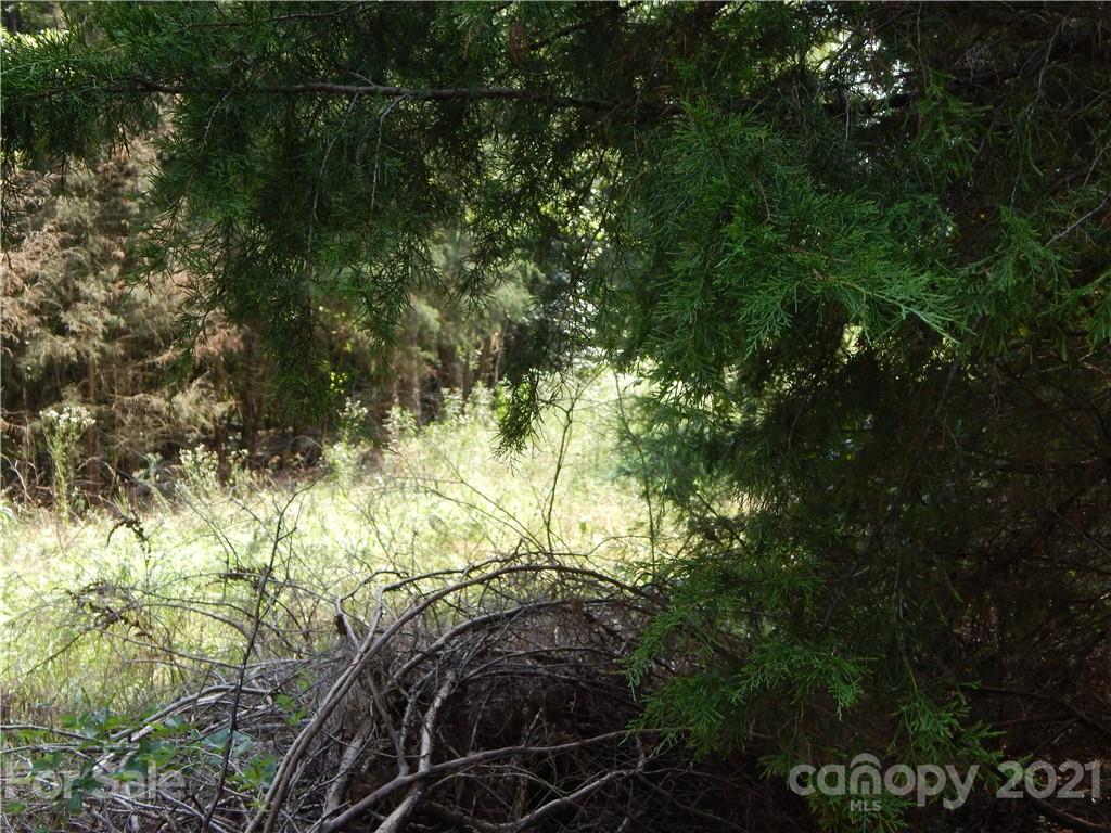 0 Boone Caudle Road Norwood, NC 28128 - Photo 16 of 29 Gallery Image 16