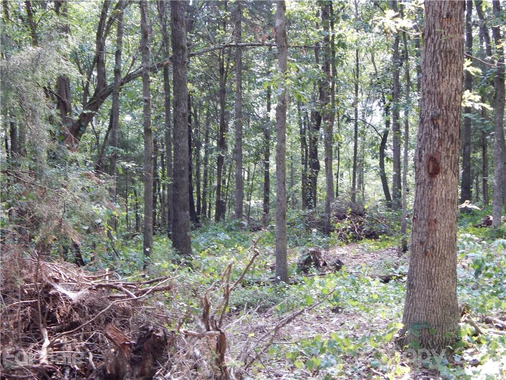 0 Boone Caudle Road Norwood, NC 28128 - Photo 18 of 29 Gallery Image 18