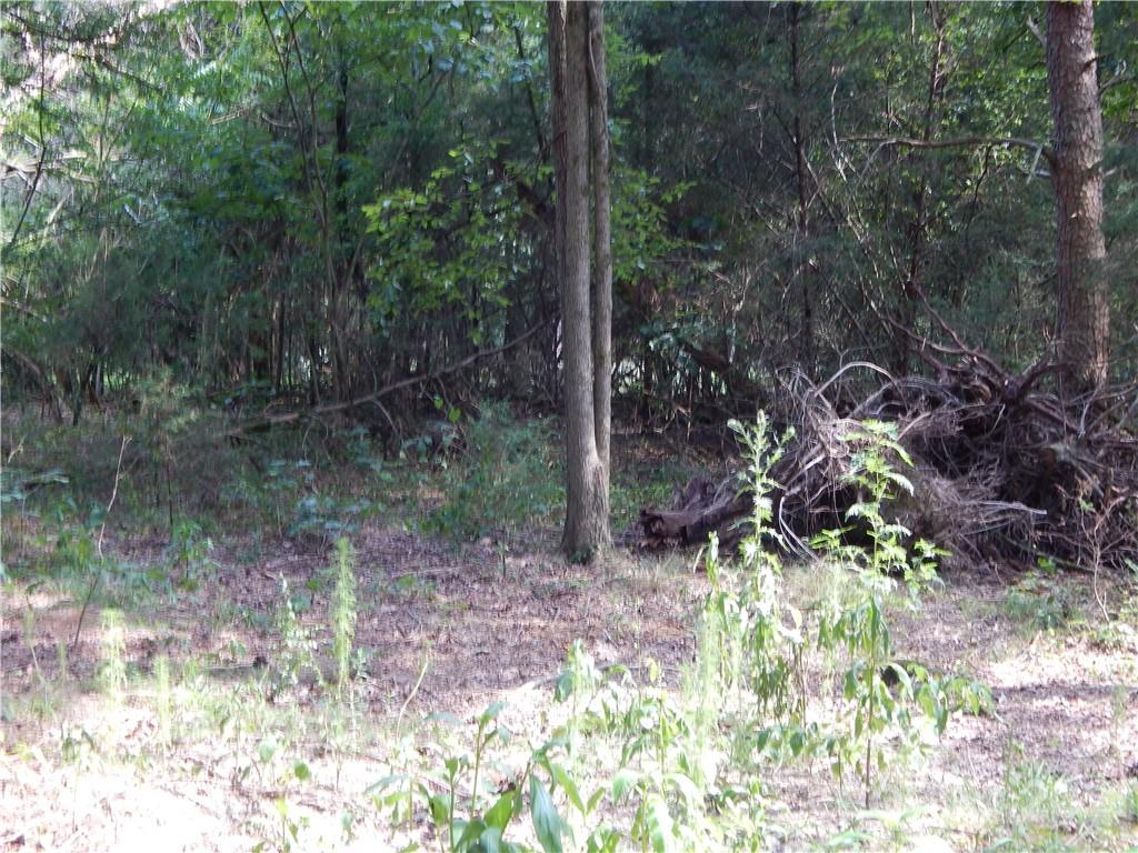0 Boone Caudle Road Norwood, NC 28128 - Photo 19 of 29 Gallery Image 19