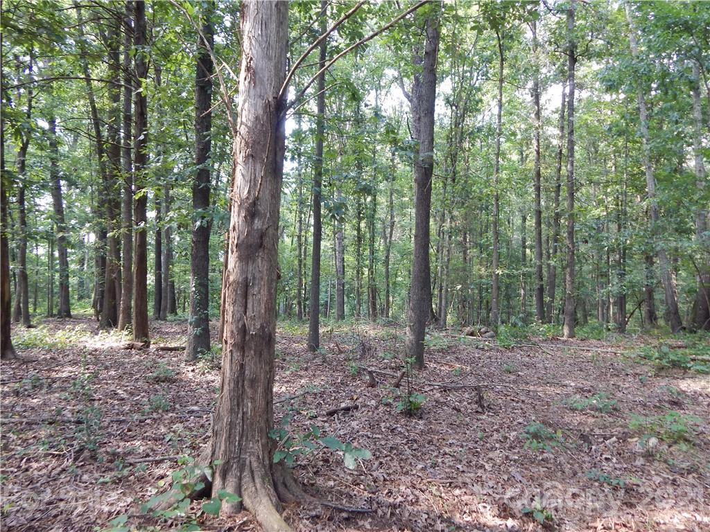 0 Boone Caudle Road Norwood, NC 28128 - Photo 20 of 29 Gallery Image 20