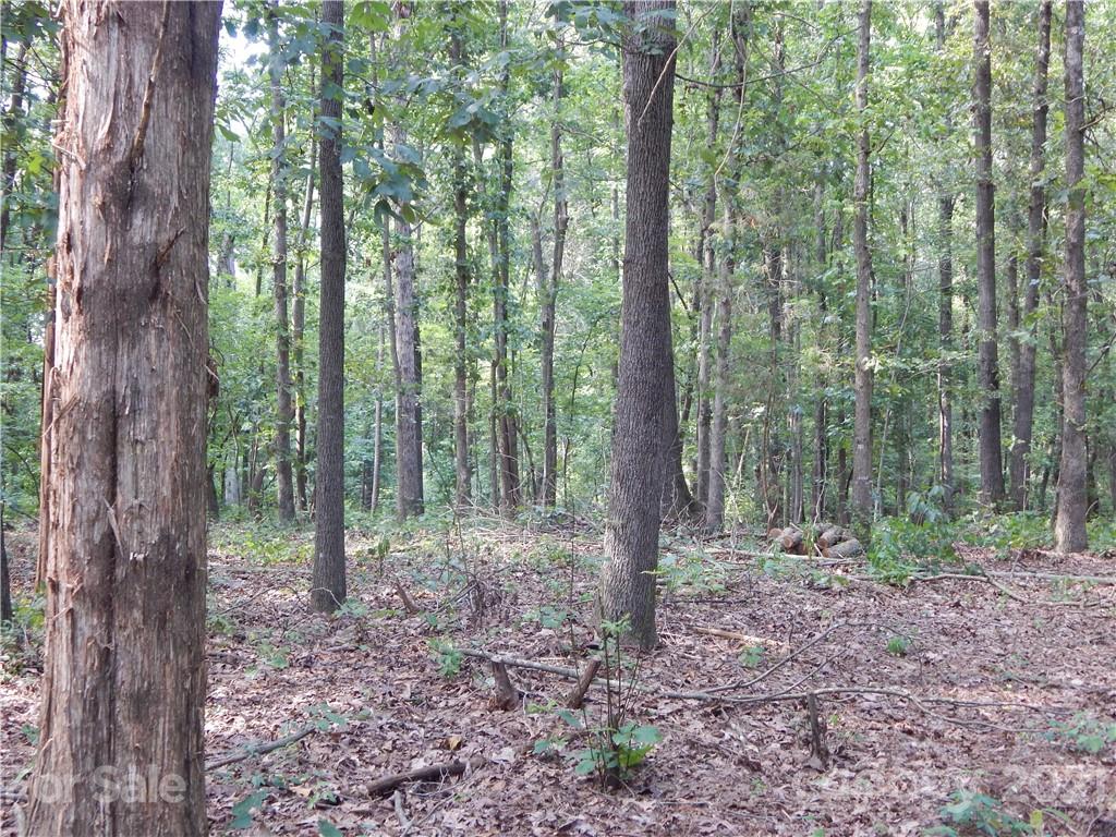 0 Boone Caudle Road Norwood, NC 28128 - Photo 21 of 29 Gallery Image 21