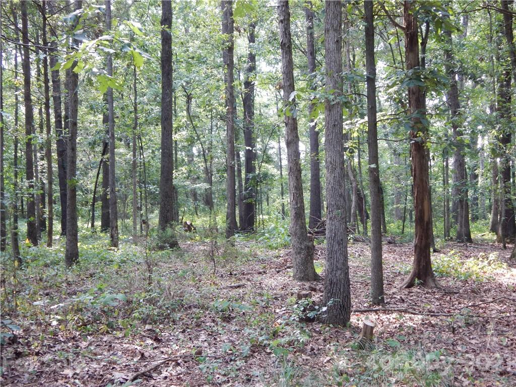 0 Boone Caudle Road Norwood, NC 28128 - Photo 22 of 29 Gallery Image 22