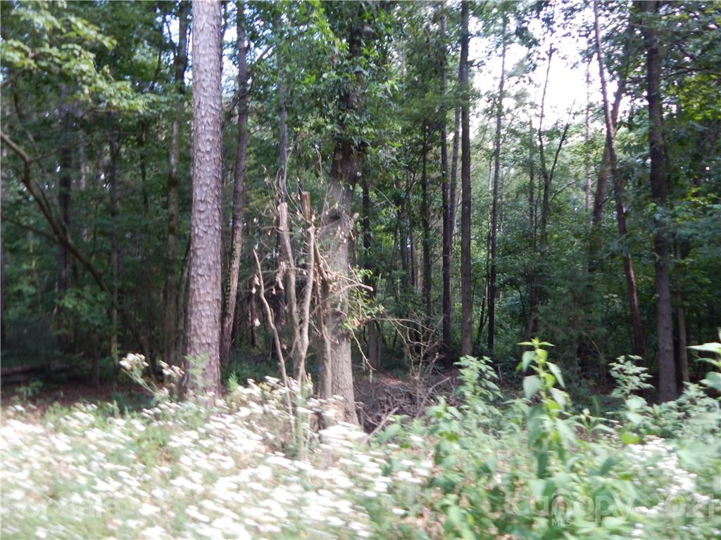 0 Boone Caudle Road Norwood, NC 28128 - Photo 25 of 29 Gallery Image 25
