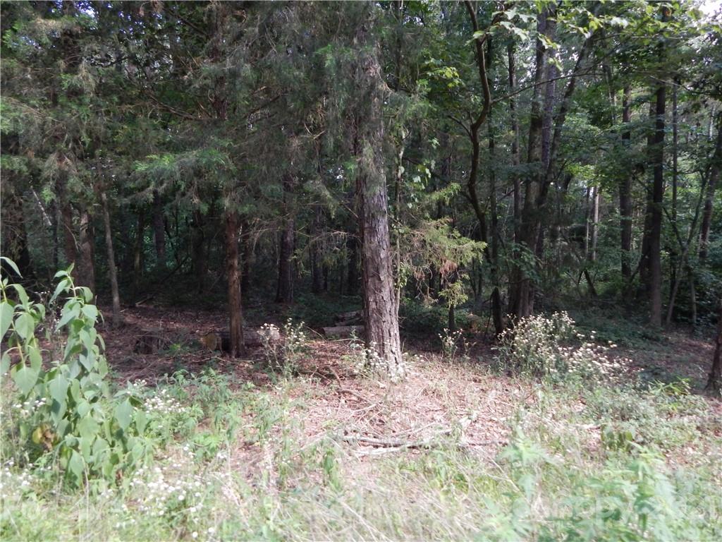 0 Boone Caudle Road Norwood, NC 28128 - Photo 27 of 29 Gallery Image 27