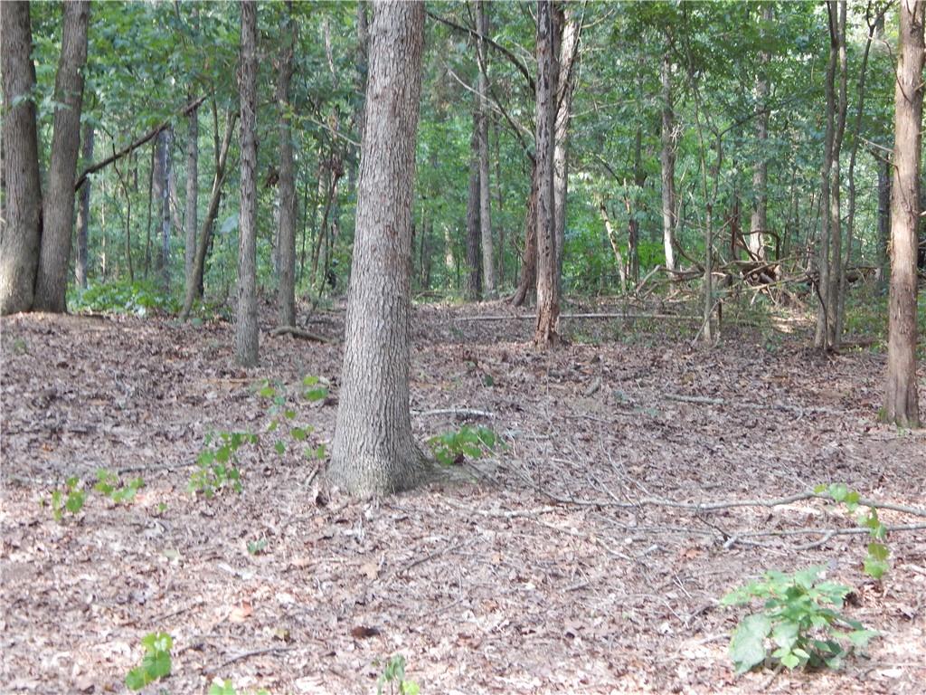 0 Boone Caudle Road Norwood, NC 28128 - Photo 5 of 29 Gallery Image 5