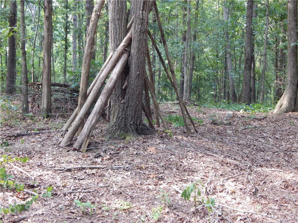 0 Boone Caudle Road Norwood, NC 28128 - Photo 6 of 29 Gallery Image 6