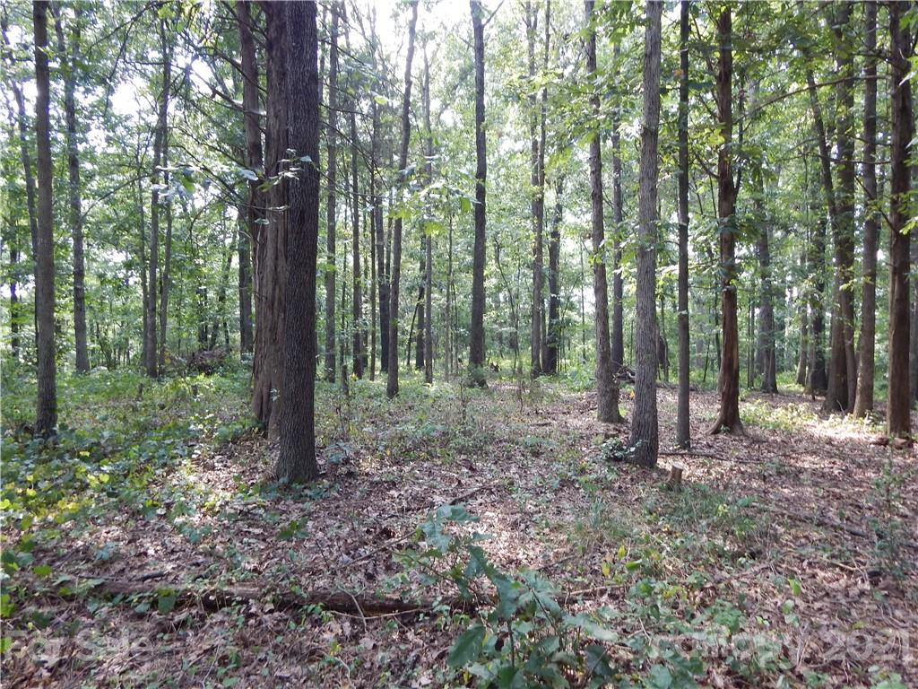 0 Boone Caudle Road Norwood, NC 28128 - Photo 7 of 29 Gallery Image 7