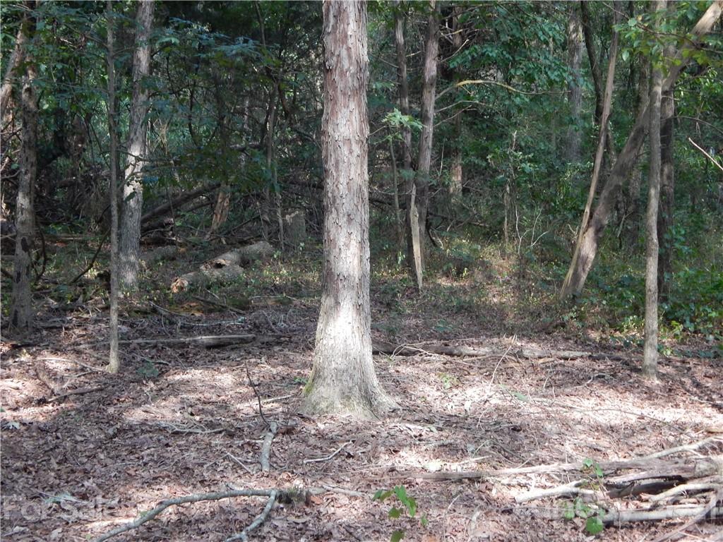 0 Boone Caudle Road Norwood, NC 28128 - Photo 9 of 29 Gallery Image 9