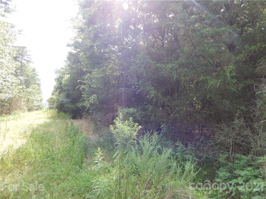 0 Boone Caudle Road Norwood, NC 28128 - Photo 10 of 29 Gallery Image 10