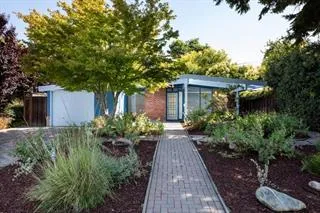 a view of a backyard with potted plants and large tree
