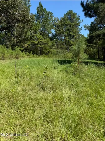 $65,000 | 1113 County Road, Kosciusko, MS 39090