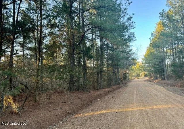 $55,000 | 1113 County Road, Kosciusko, MS 39090