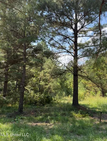 $65,000 | 1113 County Road, Kosciusko, MS 39090