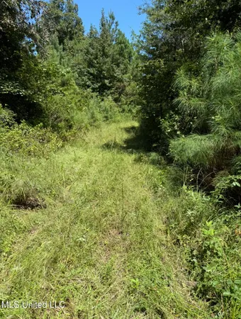 $65,000 | 1113 County Road, Kosciusko, MS 39090