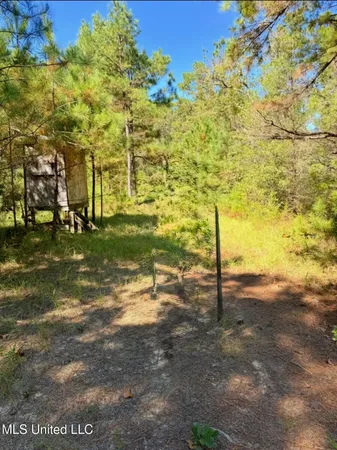 $65,000 | 1113 County Road, Kosciusko, MS 39090