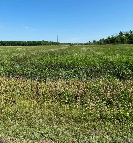 $1,024,000 | 649 Highway 308, Thibodaux, LA 70301