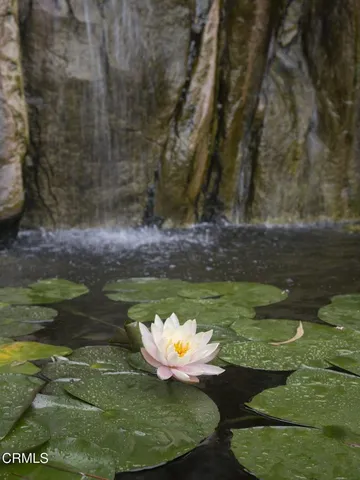 a swimming pool with green space