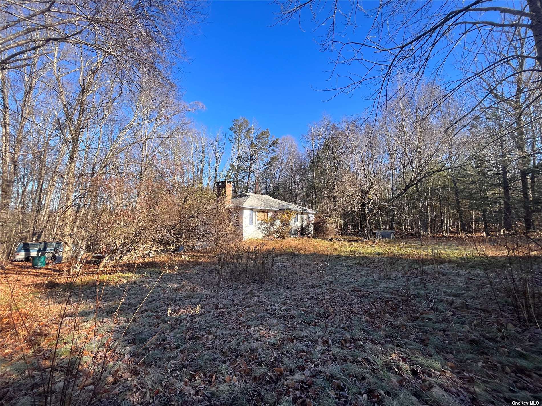 a view of backyard of house with trees