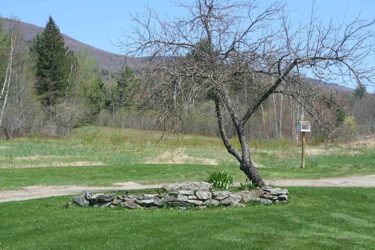 139 Meadows Road Jefferson, NH 03583 - Photo 11 of 37 Gallery Image 11