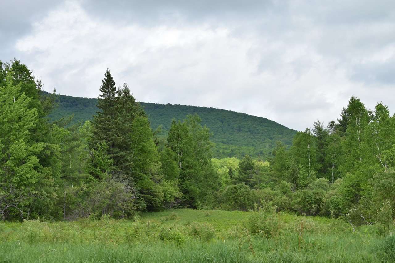 139 Meadows Road Jefferson, NH 03583 - Photo 18 of 37 Gallery Image 18