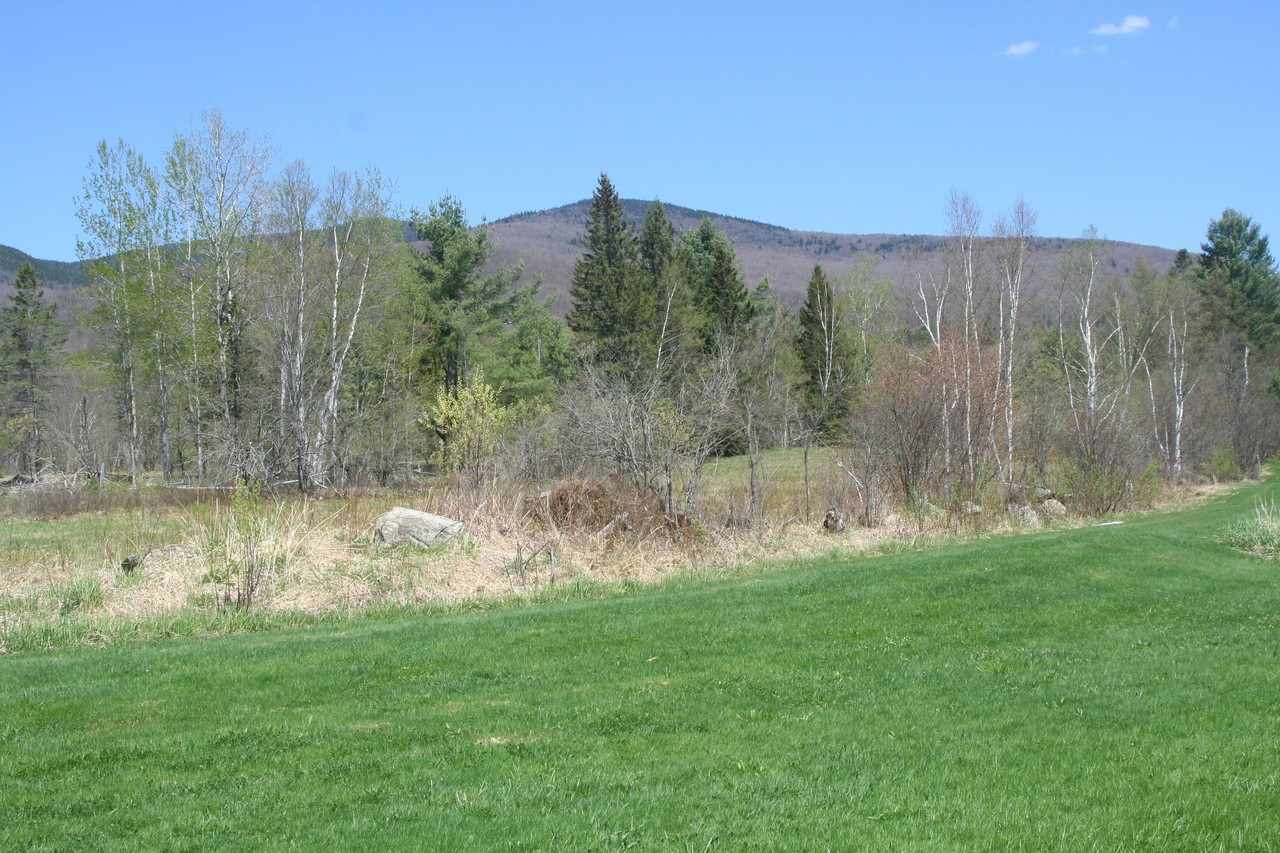 139 Meadows Road Jefferson, NH 03583 - Photo 19 of 37 Gallery Image 19