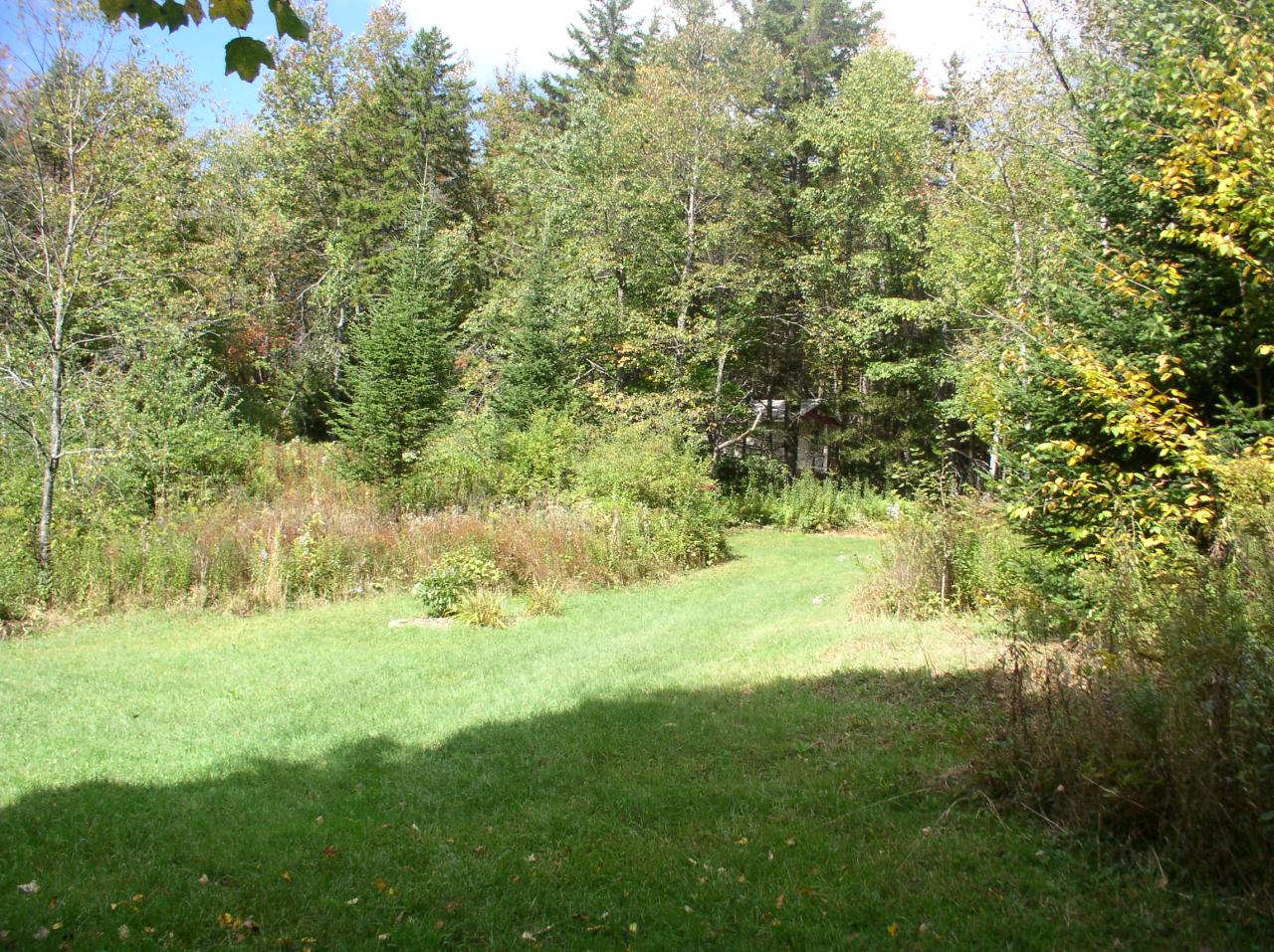 a view of yard with green space