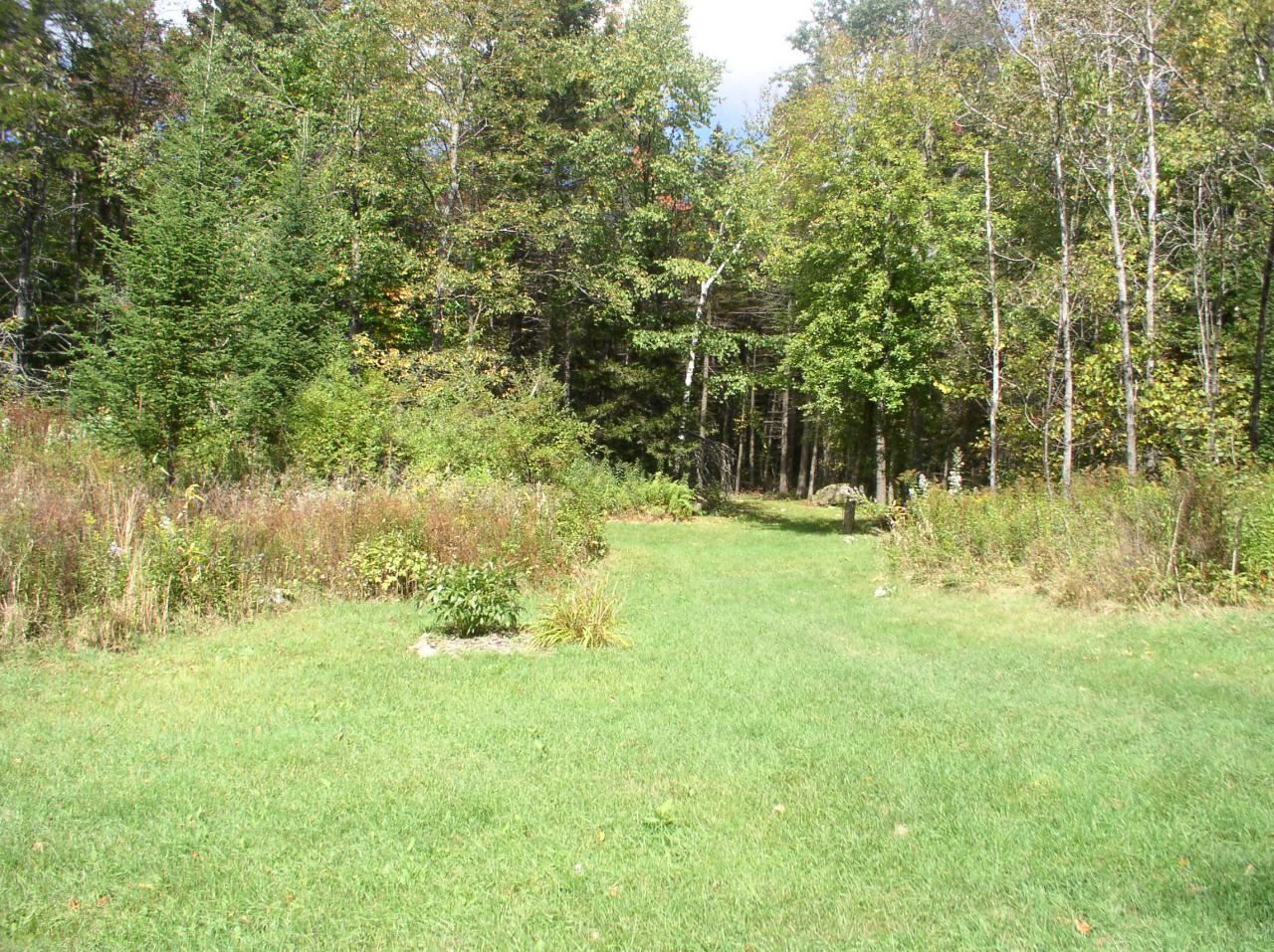 Cheshire Road Windsor, MA 01270 - Photo 3 of 6 a view of outdoor space