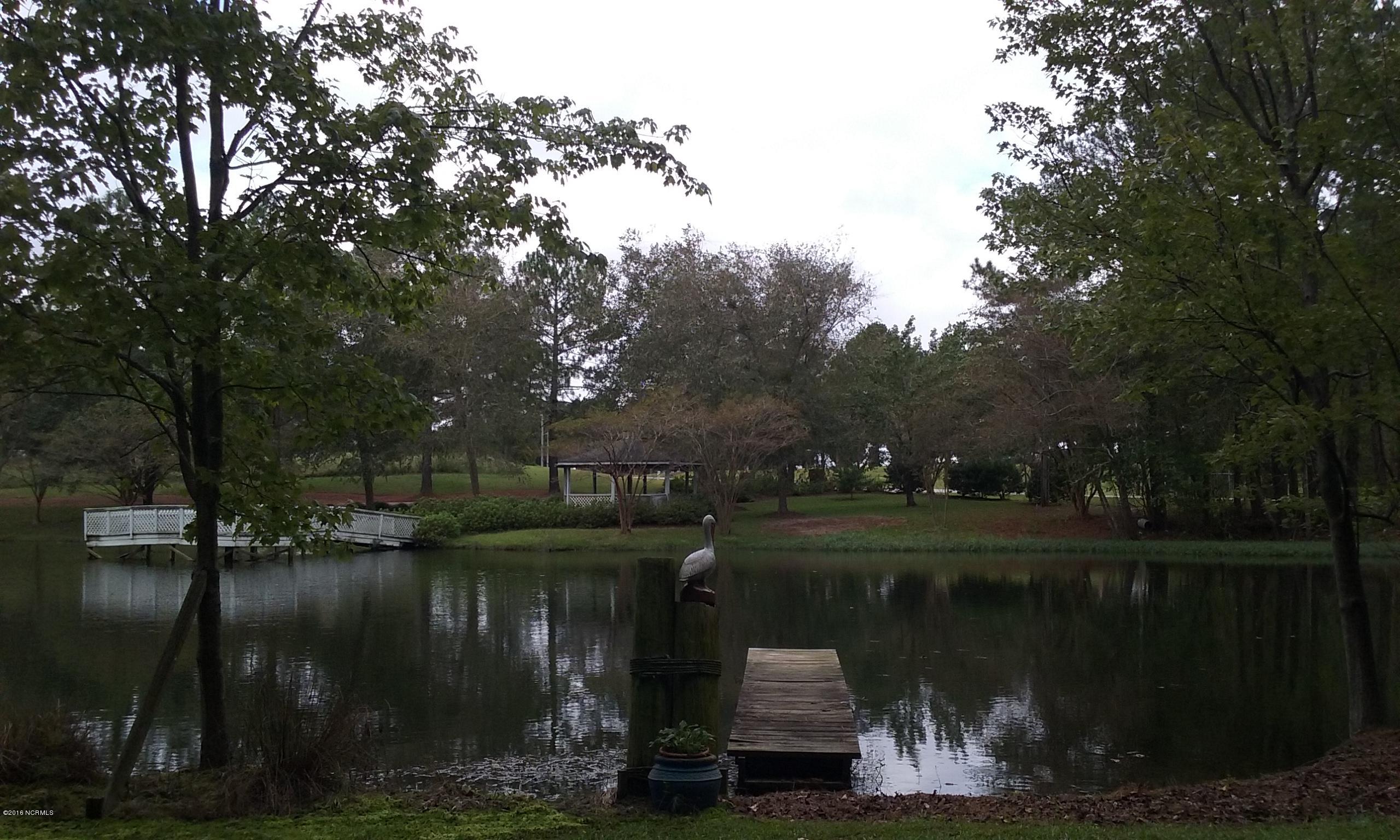 1314 Foster Road Grimesland, NC 27837 - Photo 35 of 36 33Pond