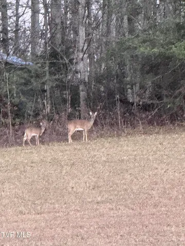 $500,000 | 120 Ervin Loop, Erwin, TN 37650