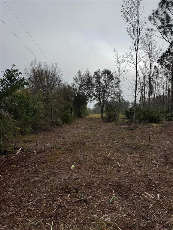 0 West Frostproof Road Frostproof, FL 33843 - Photo 6 of 6