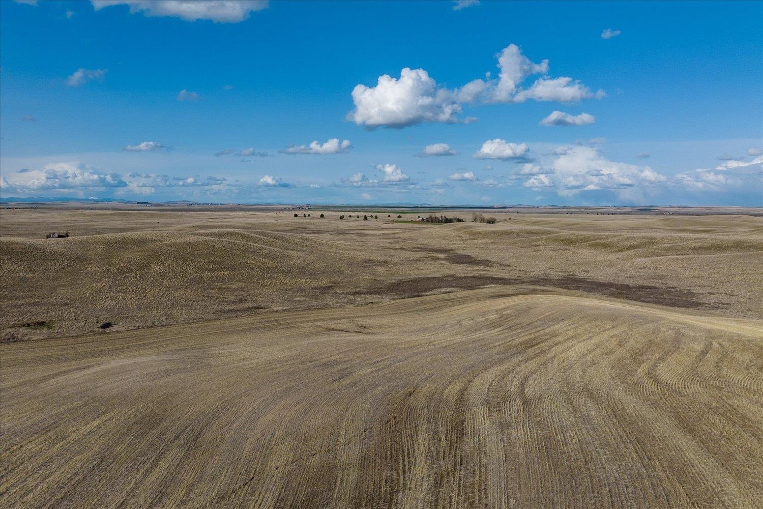 Xx North Coal Springs Road North Davenport, WA 99122 - Photo 24 of 38